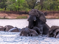 Rzeka Zambezi